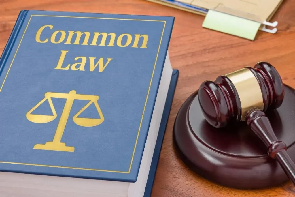 Sistem Hukum Common Law