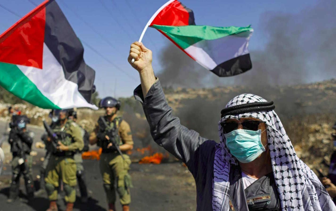 Bagaimana Tanggapan Negara Atas Indikasi Hak Asasi Manusia Di Palestina?